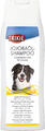 Hundeshampoo Jojoba�l 250 ml Fellaufbau r�ckfettend Hundeschampoo Fellpflege