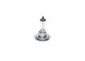 Glühlampe, Fernscheinwerfer für ABARTH ALFA ROMEO AUDI BMW Bosch 1987302071
