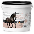 REAVET Darm Prebiotic 1kg für Pferde, Magen Darm Pferd, Kotwasser Pferde
