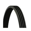 1x Keilrippenriemen CONTINENTAL CTAM 4PK850 ELAST passend für BMW