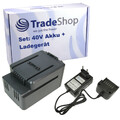 2in1 Set: Li-Ion Akku 40V 3000mAh + Schnell-Ladegerät für Worx WG568E.9 WG368.9