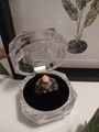 Emaille und Silber Ring Schmetterling