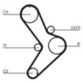 CONTINENTAL CTAM CT731 Zahnriemen passend für FIAT  passend für IVECO RENAULT