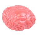 Splash Gehirn Antistressball Hirn Glibber Scherzartikel Knautschhirn Squeeze GAG