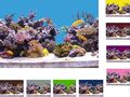 8,99€/m Aquarium Hintergrund selbstklebend Rückwand folie Foto Rückwand 200 cm