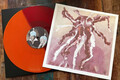 AKTUELL 93 SO ECHT WIE SCARECROWS (ORANGE/ROT SPLIT VINYL) LP Vinyl CASHENS GAP