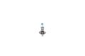 BOSCH 1 987 301 108 Glühlampe, Fernscheinwerfer für FORD