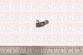 FAI Autoparts R187S Kipphebel Motorsteuerung für Audi Skoda VW Chrysler 2003 ->