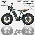 ENGWE M20 E-bike Elektrofahrrad 20 Zoll 750W E-Mountainbike Pedele Damen Herren
