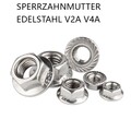 Sperrzahnmutter Flanschmuttern Bundmutter M3 M4 M5 M6 bis M20  Edelstahl V2A V4A