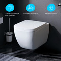 Spülrandlos Toilette Rimless inkl. WC Sitz mit Softclose Wand-WC Hänge-WC AM.PM