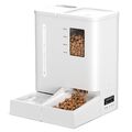 DUDUPET Futterautomat Katze und Wasserspender 2-in-1, Automatischer Futterspe...