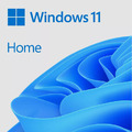 ORIGINAL, BRANDNEU, VERSIEGELT, Microsoft Windows 11 - Home 64bit OEM - 1 Lizenz USB