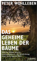 Das geheime Leben der Bäume