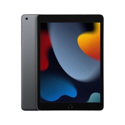 APPLE iPad Wi-Fi + Cellular (9. Generation 2021), Tablet, 256 GB, 10,2 Zoll, Spa