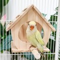 Vogelnest-Haus-Geschenk-Papageien-Hängehängematte für Nymphensittiche,