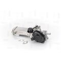 1x AGR-Ventil NAP carPARTS CAV10116 passend für AUDI SEAT SKODA VW VAG