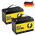 12V 100Ah 2PC Lithium Batterie LiFePO4 Akku BMS 15000+ Zyklen Solaranlage Boot
