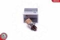 ESEN SKV Sensor, Kraftstoffdruck 17SKV627