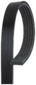 Gates 5PK1590 Keilrippenriemen für ALFA ROMEO AUDI  passend für FIAT HYUNDAI Rie