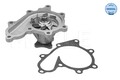 Wasserpumpe Motorkühlung MEYLE 36-13 220 0007 für NISSAN PRIMERA ALMERA TINO V10