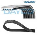 Keilrippenriemen DAYCO 6pk1390S für Fiat Sedici