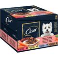 Cesar Nassfutter für Hunde im Frischebeutel in Sauce 96 x 100 g