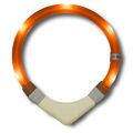 Leuchthalsband LEUCHTIE Plus nachleuchtend - LED Sicherheit Halsband 