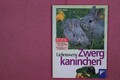 281060 Peter Beck LIEBENSWERTE ZWERGKANINCHEN Franckh-Kosmos