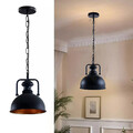 Retro lampe Industrie Pendelleuchte vintage Hängelampe Deckenlampe lampenfassung