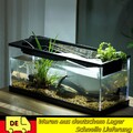 Aquarium Rechteckig mit Abdeckung inkl. LED Beleuchtung im Set Fish Tank Acryl