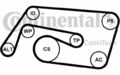 CONTITECH Keilrippenriemensatz für MERCEDES-BENZ C - KLASSE 6PK2260K2