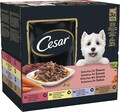 Cesar Selektion in Sauce Hundefutter Nassfutter Rind Huhn Lamm 48 Beutel x 100 g