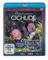 Cichlide - Tropische Aquarien [Blu-ray] | DVD | Zustand sehr gutGeld sparen & nachhaltig shoppen!