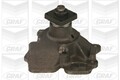 Wasserpumpe Motorkühlung GRAF PA323 für TRANSIT FORD TOURNEO Bus TAL TAS TGL TWS