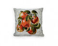 Dekokissen Kissenbezug Kissenhülle Sofakissen Gobelin Kissen Hülle Obst 45x45 cm
