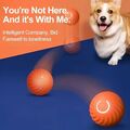 Interaktives Hundespielzeug, Automatisch Rollender u. Springender Ball,langlebig