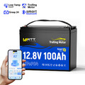 12V 100Ah LiFePO4 Akku Bluetooth Batterie 120A BMS 15000+Zyklus Trolling Motor