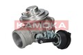 KAMOKA 19042 AGR-Ventil for VW