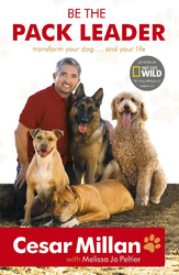 Cesar Millan | Be the Pack Leader | Taschenbuch | Englisch (2009) | 316 S.