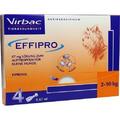 EFFIPRO 67 mg Pip.Lsg.z.Auftropf.f.kl.Hunde 4 St PZN 5507689