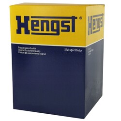 HENGST FILTER H17W24 Ölfilter Anschraubbar für IVECO DAILY III JUMPER I DUCATO