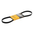 Continental ContiTech 4PK855 Keilrippenriemen für VW PASSAT Variant (3B6) 855mm