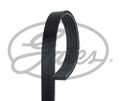 Keilrippenriemen Gates 5PK1510 für INFINITI MERCEDES BENZ
