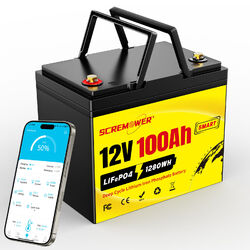 12V 100Ah LiFePO4 Bluetooth Lithium Batterie BMS Akku Wohnmobil Notstromversorgu