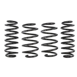 Fahrwerksfeder EIBACH Pro-Kit E10-79-004-04-22
