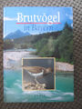 Brutvögel in Bayern Verbreitungsatlas Ornithologie