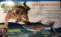Flippity Fish - Cat Toy - Der Zappelfisch mit Bewegungssensor 