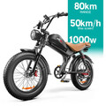 EMOKO C93 1000W Mountainbike 48V 20AH 20 Zoll Fatbike Elektrofahrrad E-bike NEU