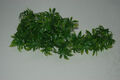 Vivarium Realistischer Cannabis Stil Blatt Hängende Kunststoff Rebe Ca. 45 Cm